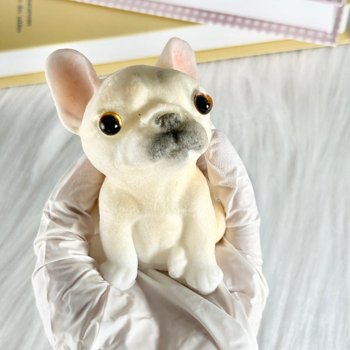 French Bulldog Puppy